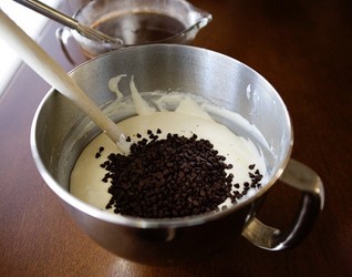 عکس تیرامیسو شکلاتی