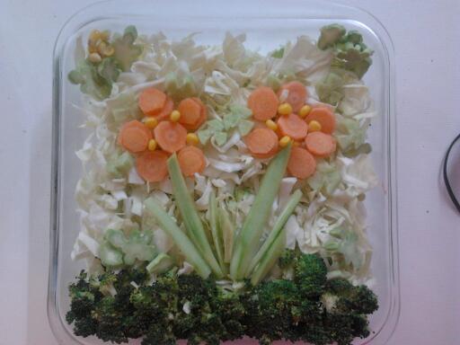 سالاد رژیمی