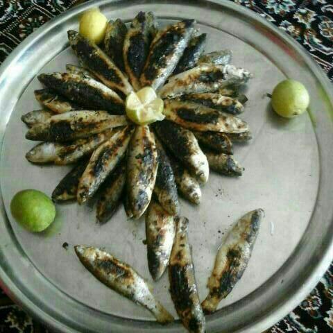 ماهی تابه ای گاریز