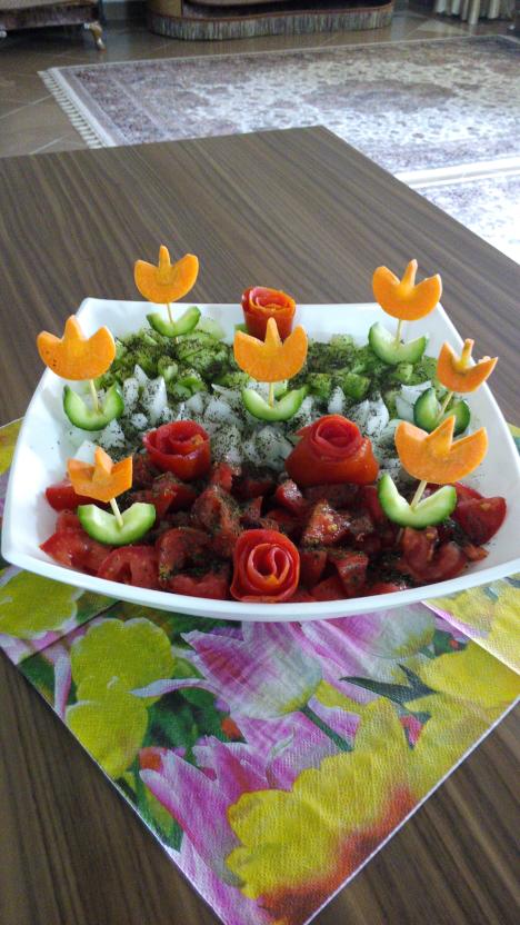 عکس سالادشیرازی