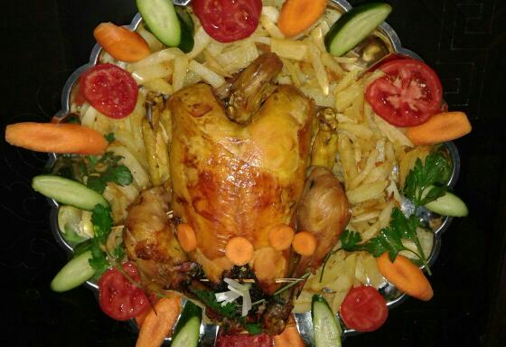 عکس مرغ شکم پر