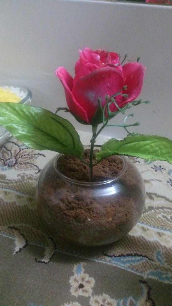 عکس خاک گلدان 