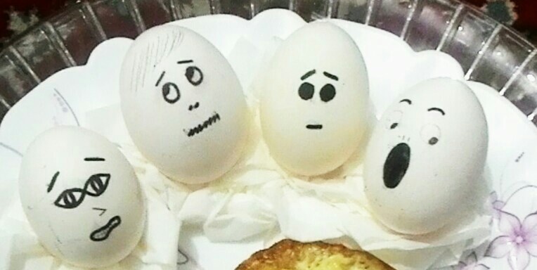 عکس تزیین تخم مرغ
