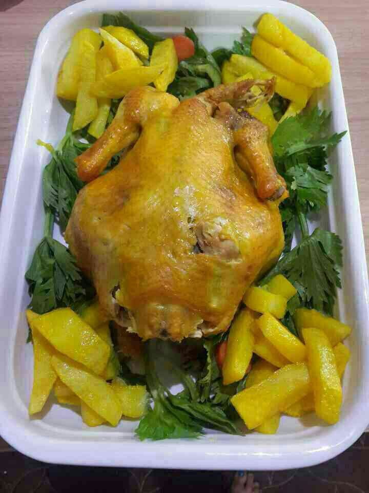 عکس مرغ شکم پر