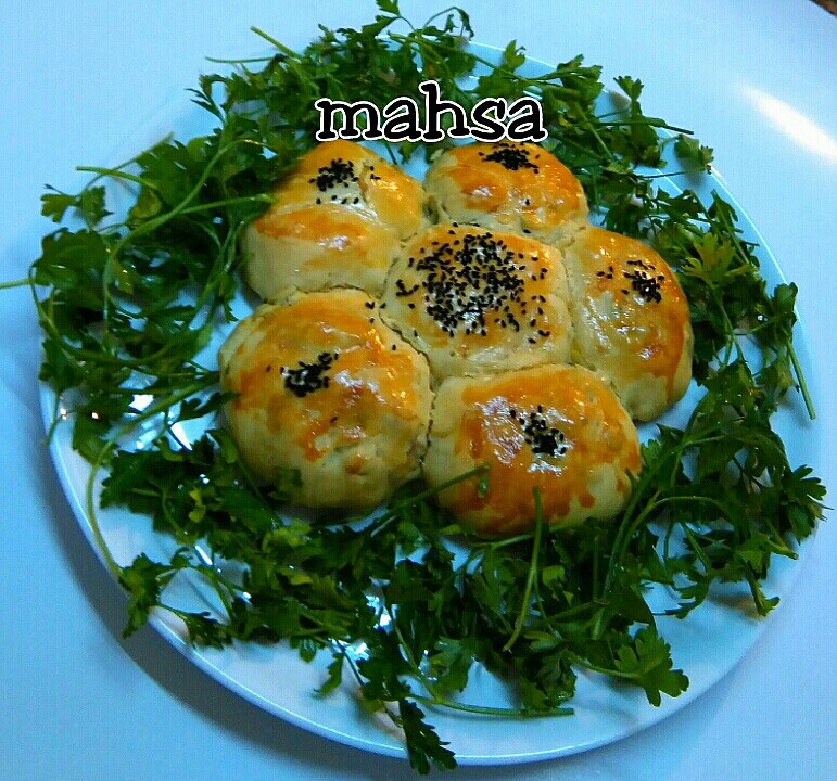عکس پیراشکی مرغ