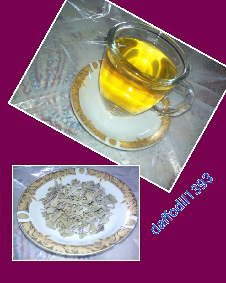 عکس دمنوش مریم گلی