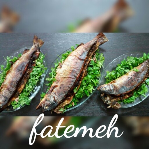 عکس ماهی شکم پرکه ما خوزستانیا عاشقشیم