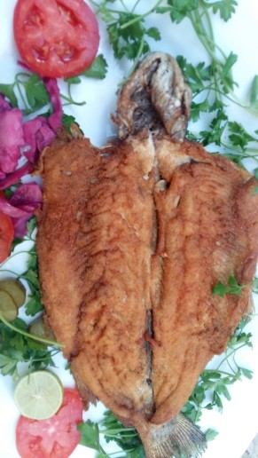 عکس ماهی سوخاری