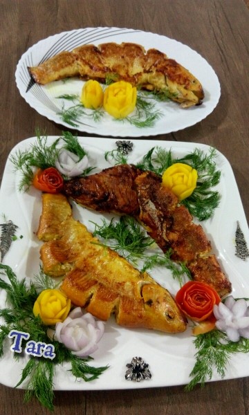 عکس ماهی قزل آلا
