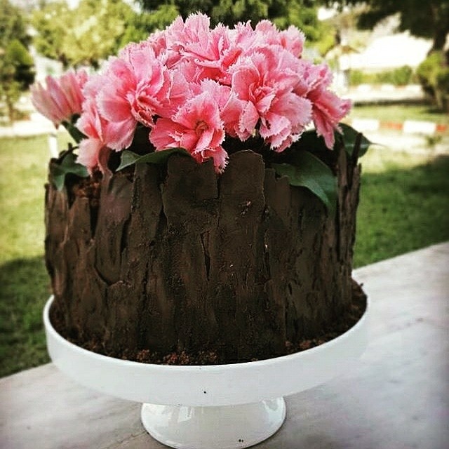 کیک خامه ای و شکلاتی