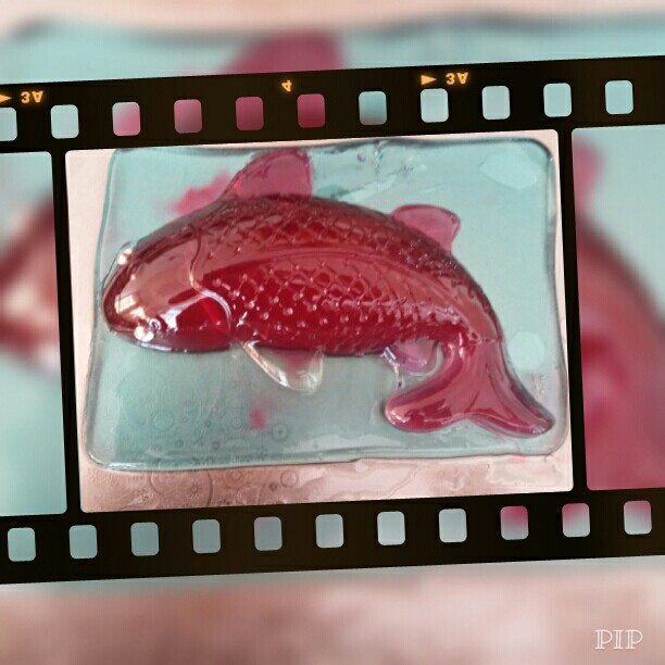 عکس ژله ماهی من 