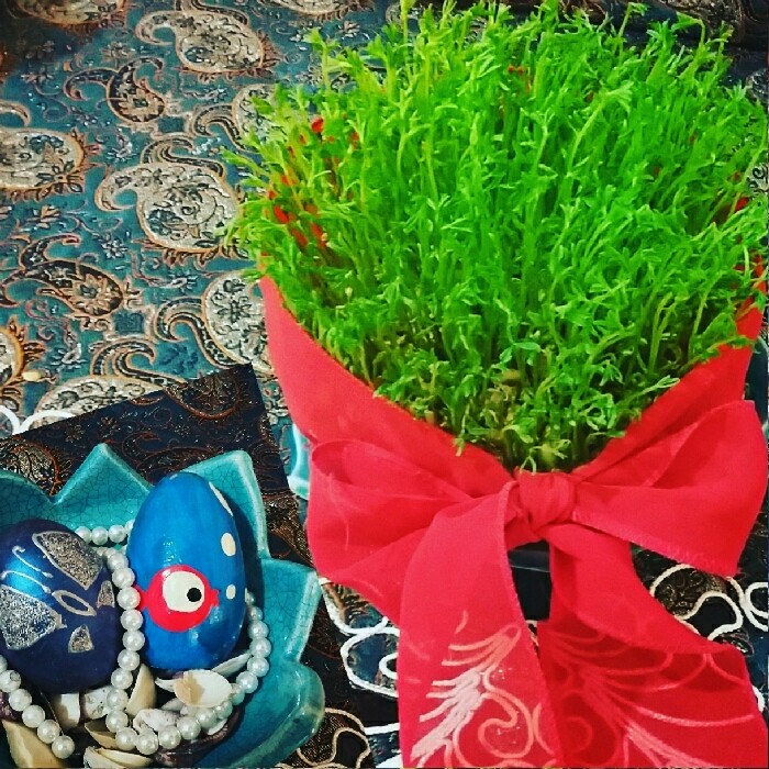 عکس اینم سبزه امسال من
