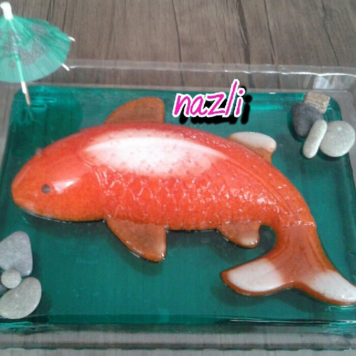 عکس ژله ماهی 