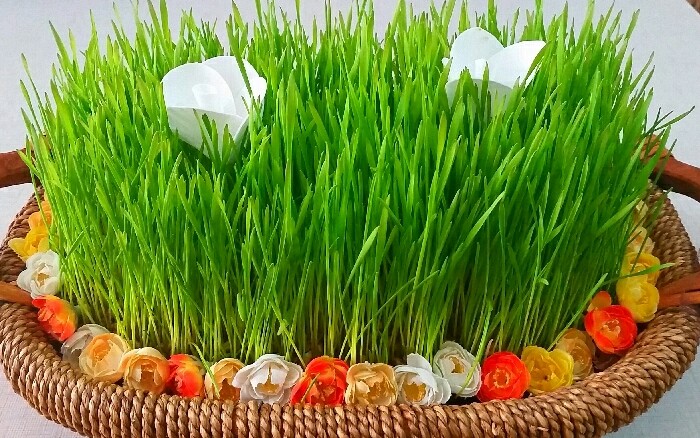 عکس سبزه عیدم