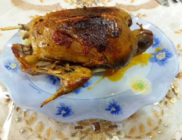 عکس خوراک اردک