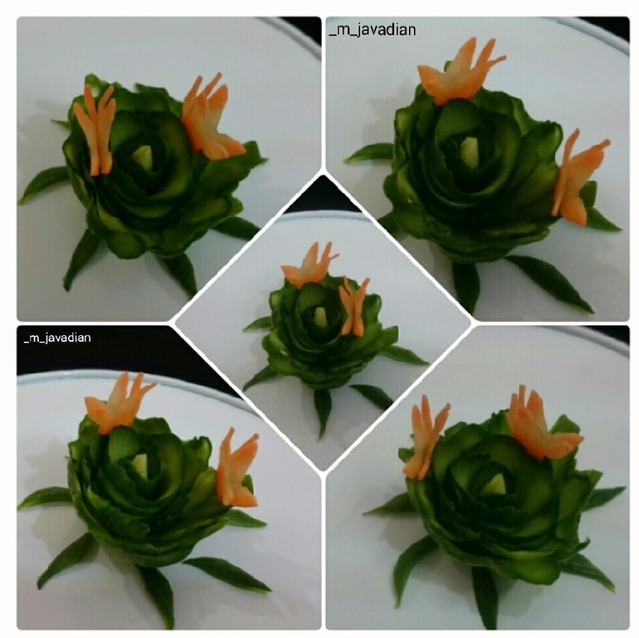 عکس پروانه با هویج