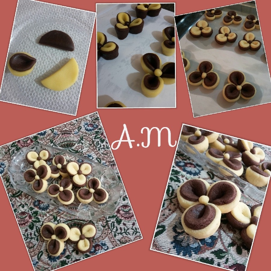 عکس شیرینی گل دورنگ