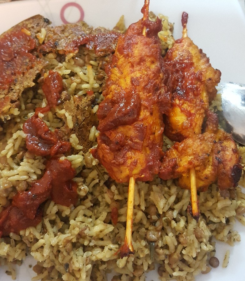 عکس فیله سرخ شده با دستور خودم