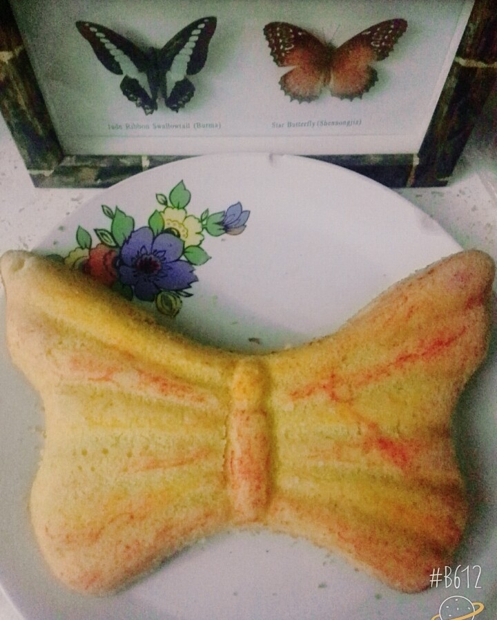 عکس کیک وانیلی پروانه 