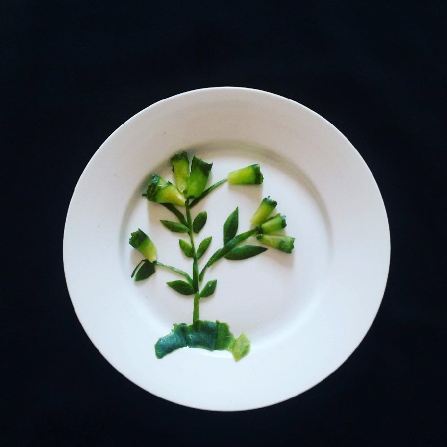 عکس دورچین بشقاب ایده زیبا ساده