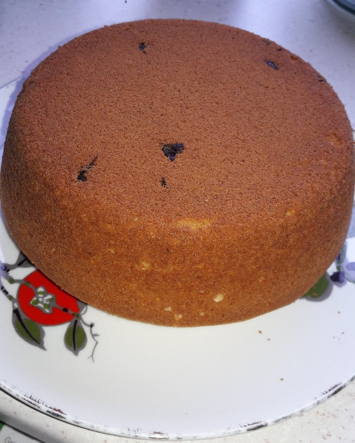 عکس کیک اسفنجی وانیلی با تکه های شکلات
