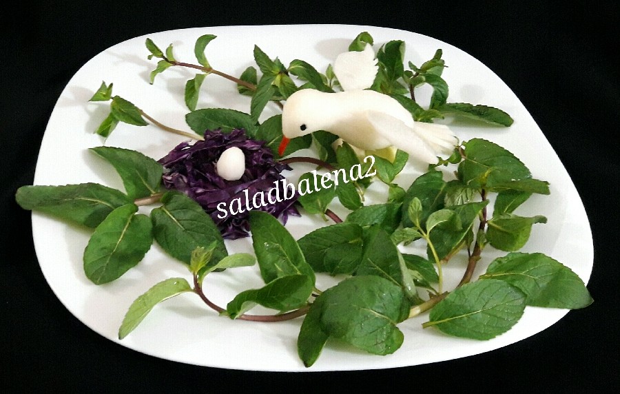 عکس پرنده با ترب