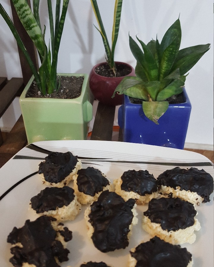 عکس شیرینی نارگیلی با رویه شکلاتی  