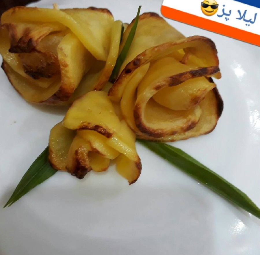 عکس گل سیب زمینی برای اولین بار