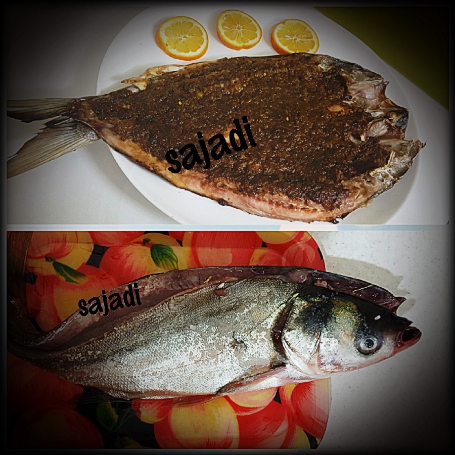 عکس ماهی غزال کبابی