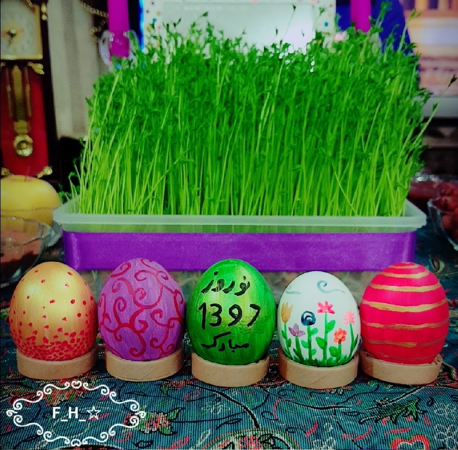 عکس تخم مرغ رنگی 