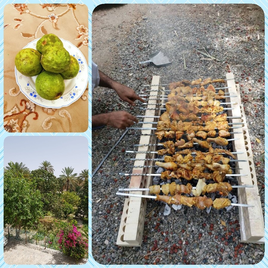 عکس ی روز خوب