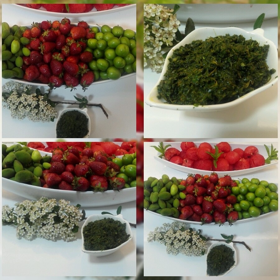 عکس نمک سبز،به همراه جمعی از جانان
