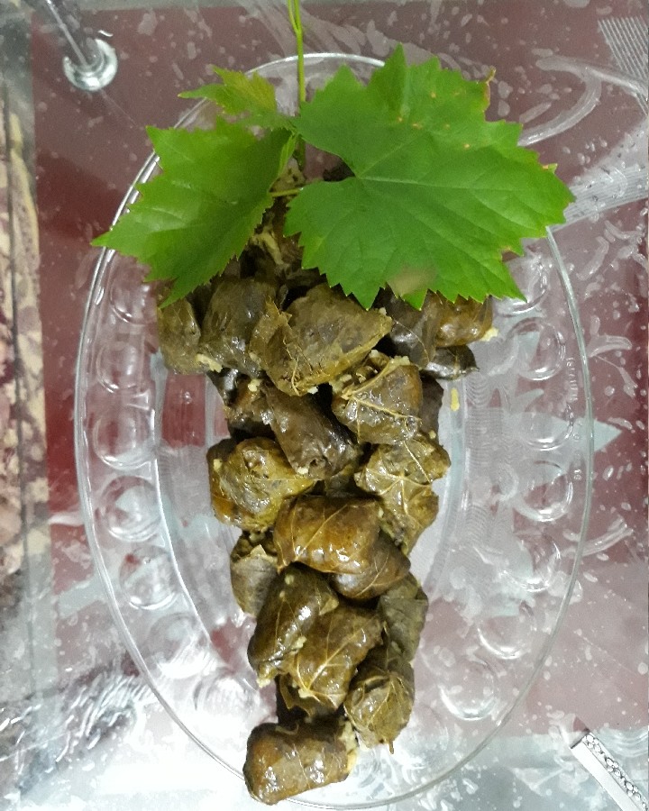 عکس دلمه برگ نوبرانه