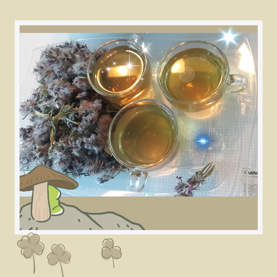 دمنوش دارچین