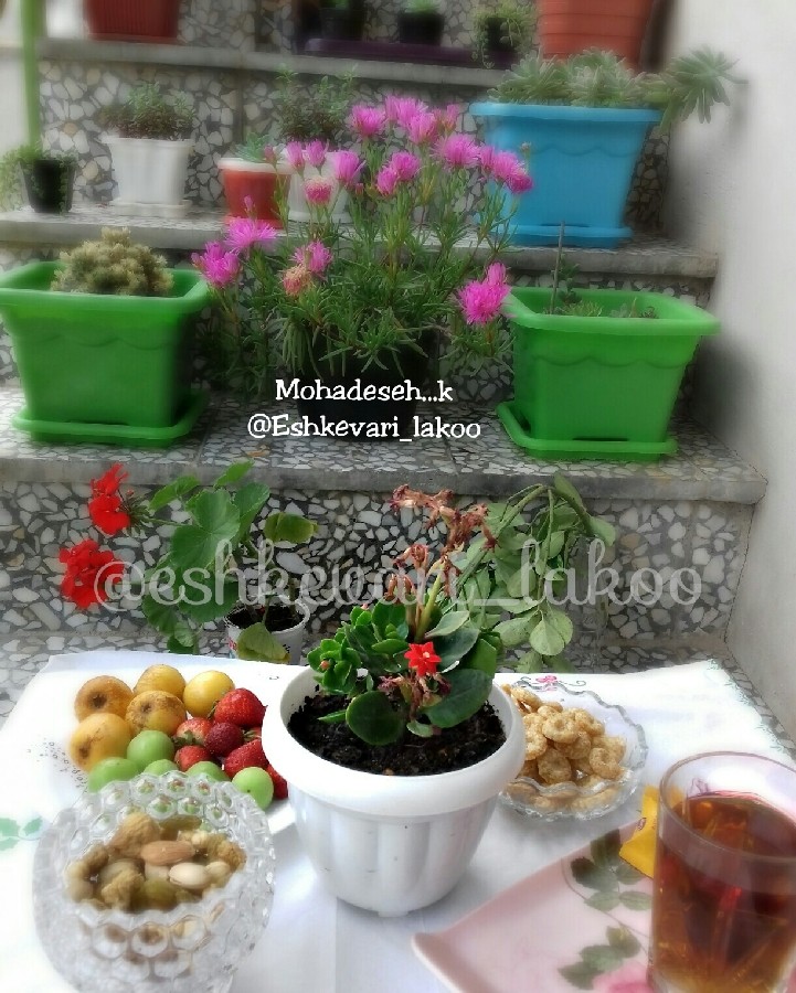 عصر بهاری...