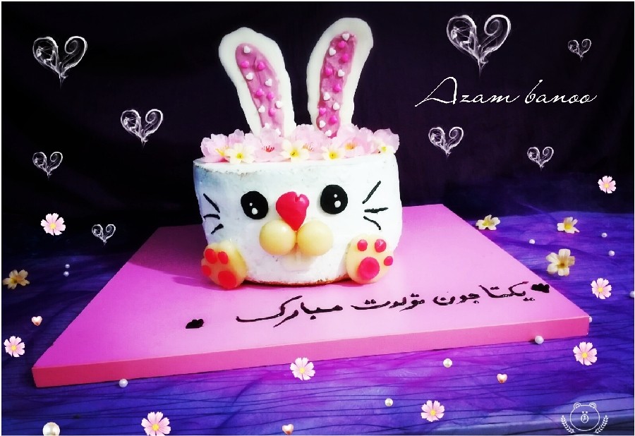 عکس # کیک اسفنجی#کیک عریان#کیک خرگوش#کیک باتزیین شکلات#کیک با ژلادر#دسر سه لایه