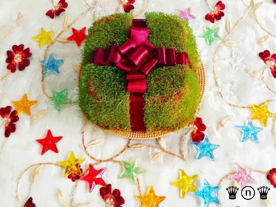 ❤سبزه عید❤