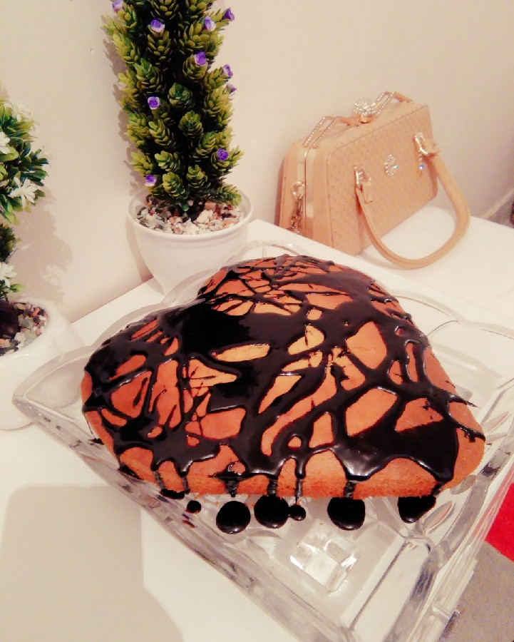 عکس کیک خانگی ساده با سس شکلاتی(مامانپز)
