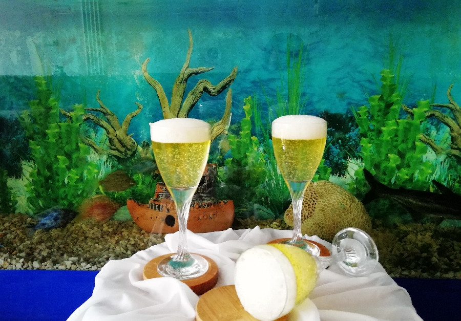 عکس ژله شامپاین و پودر سیر
