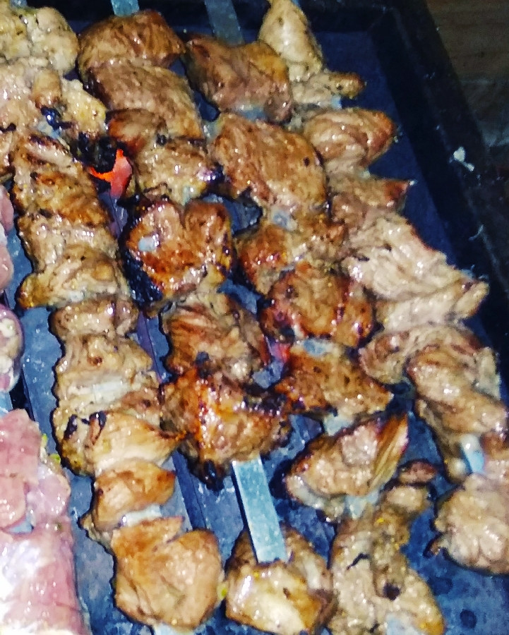 عکس کباب جان دایی پز