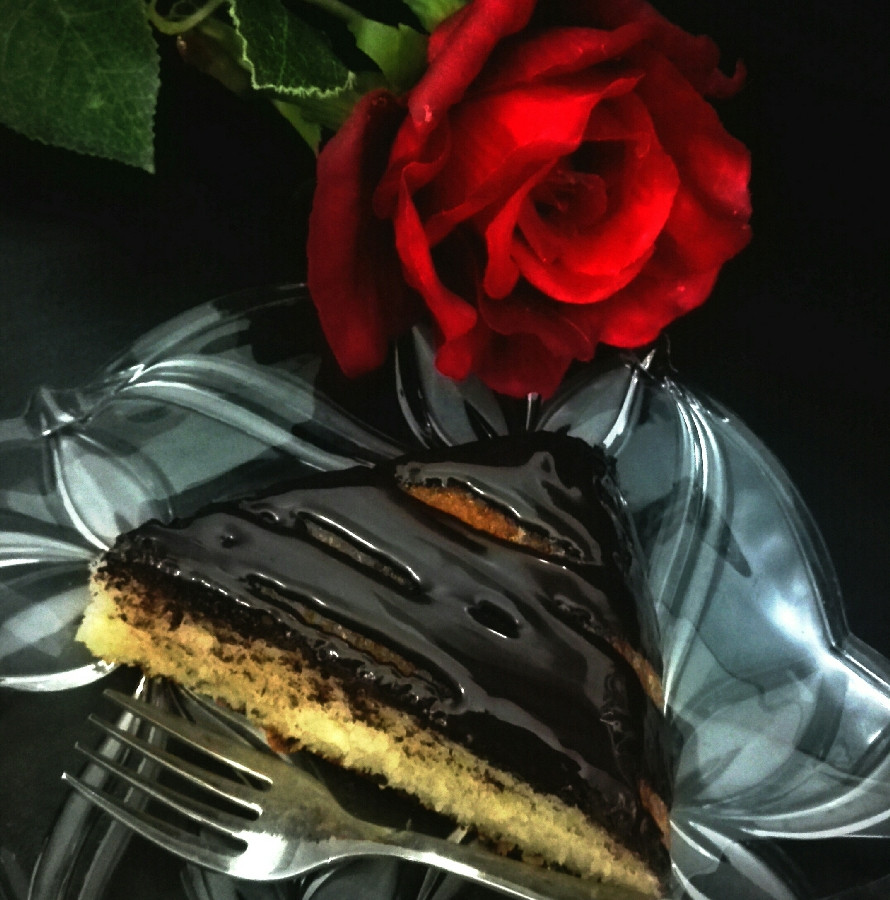 عکس کیک اسفنجی ساده با روکش شکلات