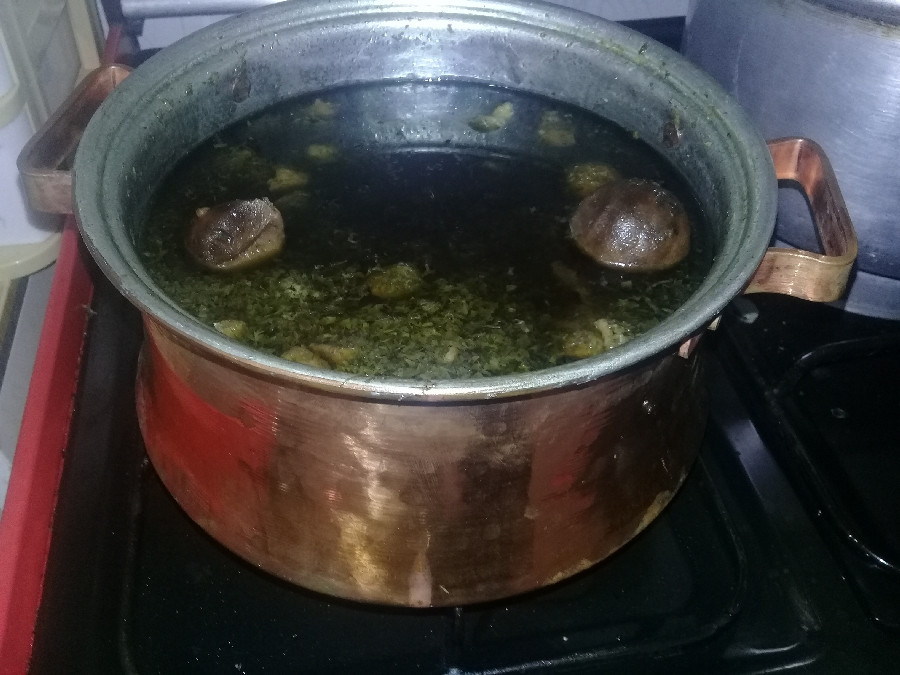 قرمه سبزی جون??