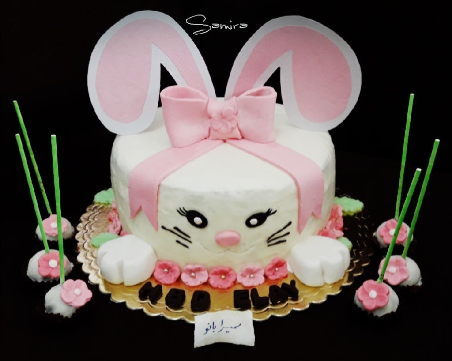 عکس کیک تولد گل دخترم با تم خرگوش