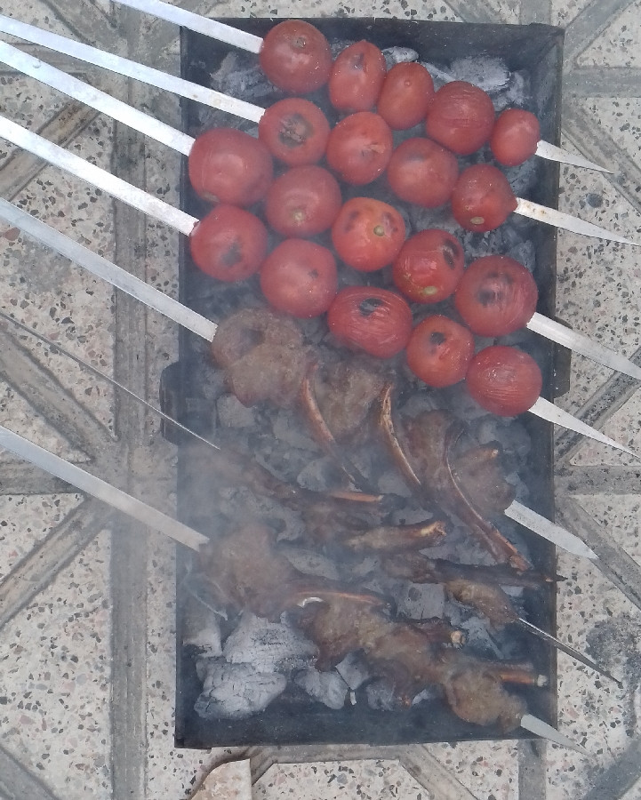 شیشلیگ اصل شاندیز