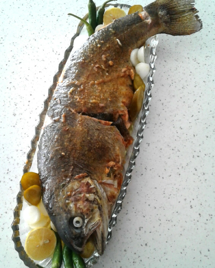 عکس ماهی قزل آلای شکم پر