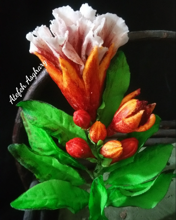 گل شکری انار با گامپیست