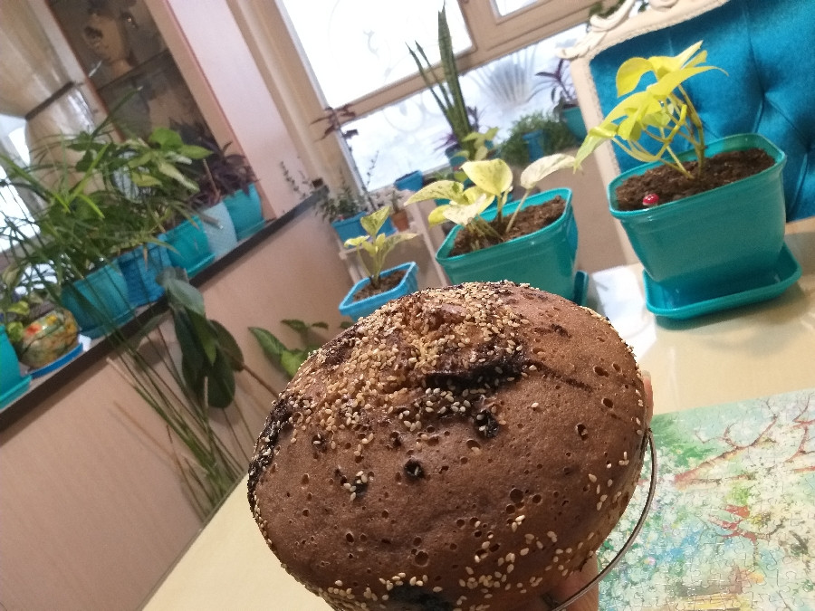 عکس کیک کاکائویی با شکلات تکه ای و کنجد داخل گلخانه همسری