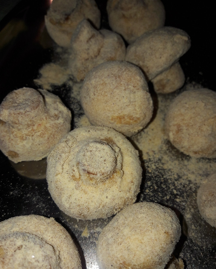 قارچ سوخاری قارچ