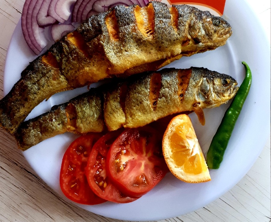 عکس ماهی سوخاری 