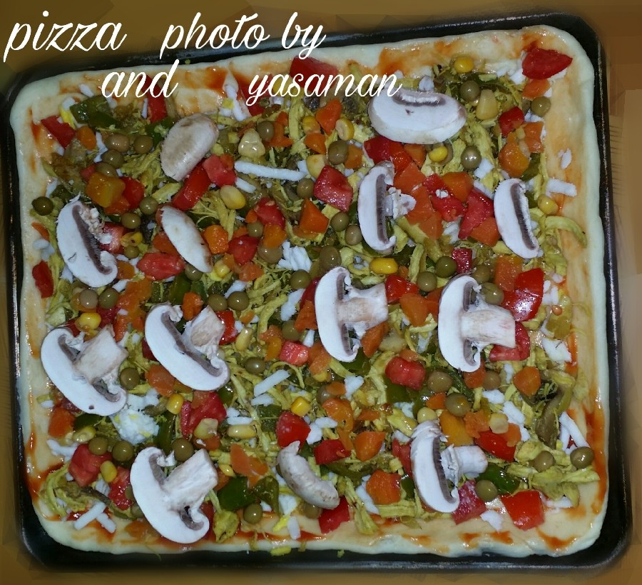 عکس پیتزا مرغ و سبزیجات
